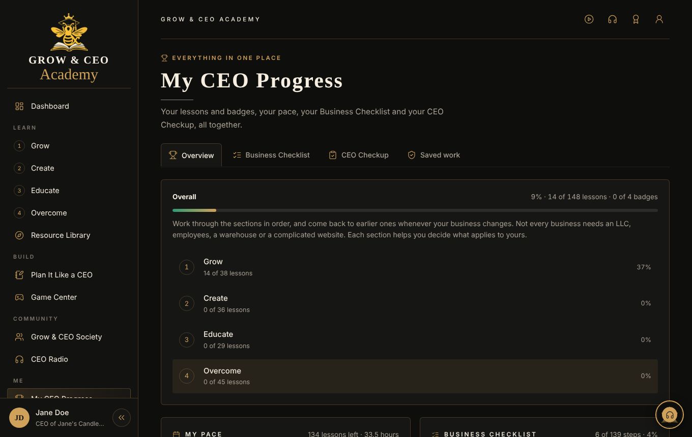 My CEO Progress overview with progress in each of the four sections
